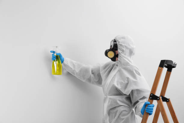 Best Black Mold Removal  in Erda, UT